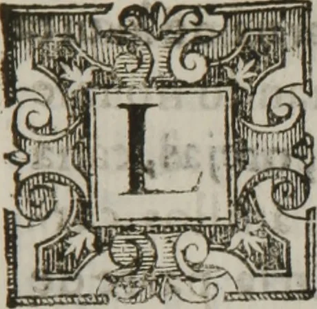 An illustration from Tratado breve de medicina y de todas las enfermedades :, 1610, leaf 494