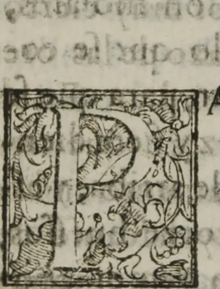 An illustration from Tratado breve de medicina y de todas las enfermedades :, 1610, leaf 495