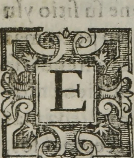 An illustration from Tratado breve de medicina y de todas las enfermedades :, 1610, leaf 513