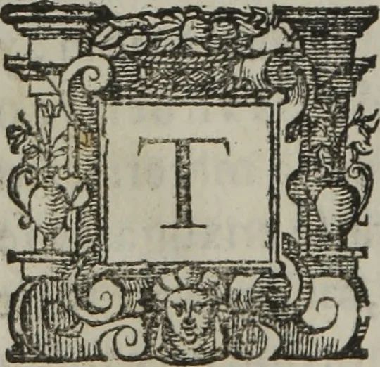 An illustration from Tratado breve de medicina y de todas las enfermedades :, 1610, leaf 85