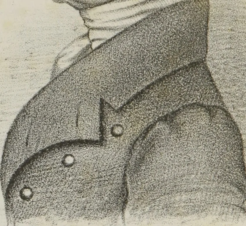An illustration from History and progress of phrenology : (read before the Western Phrenological Society, at Buffalo), 1839, leaf 117
