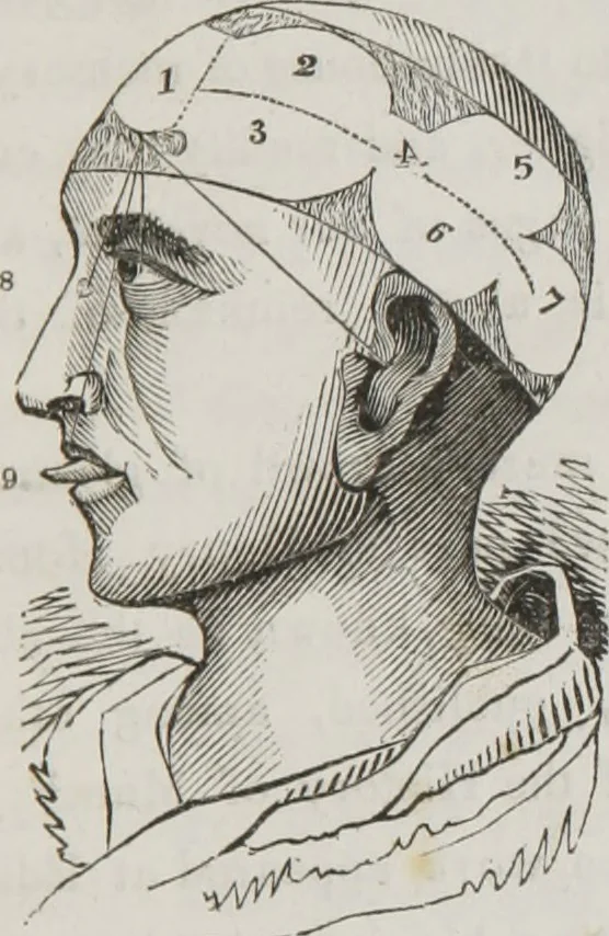 An illustration from History and progress of phrenology : (read before the Western Phrenological Society, at Buffalo), 1839, leaf 22