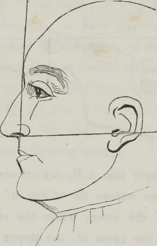 An illustration from History and progress of phrenology : (read before the Western Phrenological Society, at Buffalo), 1839, leaf 27