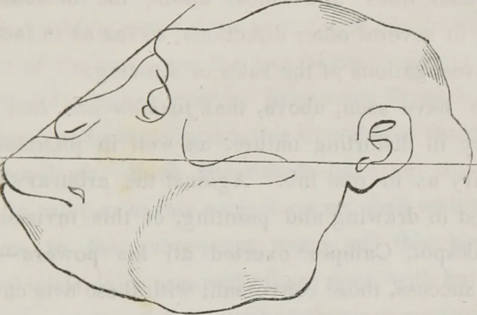 An illustration from History and progress of phrenology : (read before the Western Phrenological Society, at Buffalo), 1839, leaf 28