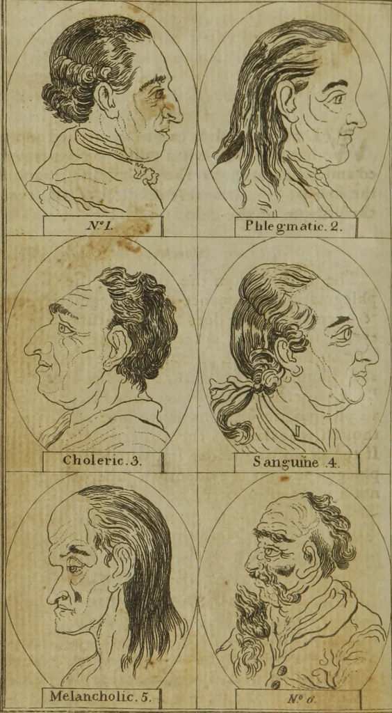 An illustration from Essays on physiognomy : for the promotion of the knowledge and the love of mankind, 1794, leaf 125
