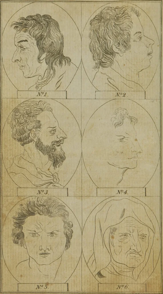An illustration from Essays on physiognomy : for the promotion of the knowledge and the love of mankind, 1794, leaf 49