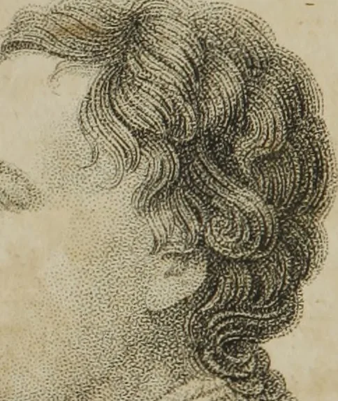 An illustration from The pocket Lavater, or, The science of physiognomy : to which is added, an inquiry into the analogy existing between brute and human physiognomy, from the Italian of Porta : embellished with 44 copperplate heads, 1817, leaf 131