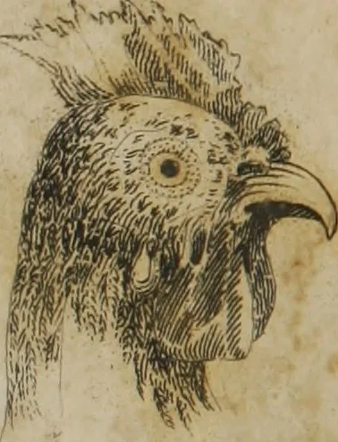 An illustration from The pocket Lavater, or, The science of physiognomy : to which is added, an inquiry into the analogy existing between brute and human physiognomy, from the Italian of Porta : embellished with 44 copperplate heads, 1817, leaf 197