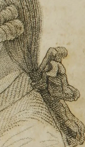 An illustration from The pocket Lavater, or, The science of physiognomy : to which is added, an inquiry into the analogy existing between brute and human physiognomy, from the Italian of Porta : embellished with 44 copperplate heads, 1817, leaf 45