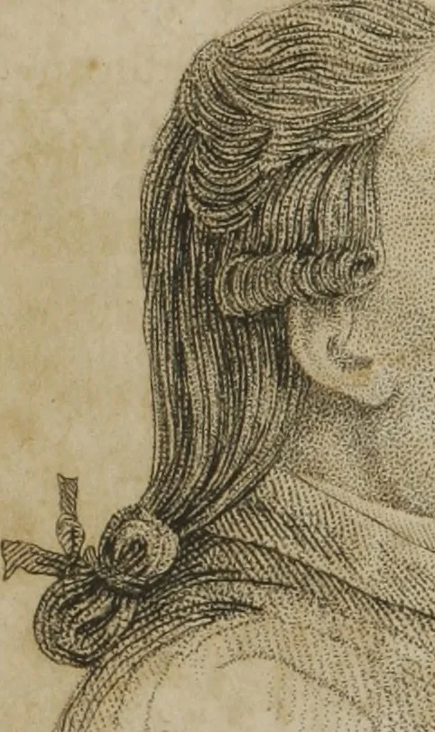 An illustration from The pocket Lavater, or, The science of physiognomy : to which is added, an inquiry into the analogy existing between brute and human physiognomy, from the Italian of Porta : embellished with 44 copperplate heads, 1817, leaf 71