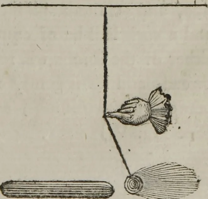 An illustration from A new physical system of astronomy : an attempt to explain the operations of the powers which impel the planets and comets to perform eliptical revolutions round the sun, and revolve on their own axis : in which, the physical system of Sir Isaac Newton, is examined, and presumed to be refuted ; to which is annexed, a physiological treatise ; in which the first stage of animation is considered, and the means shewn, by which circulation is performed in the first rudiments of the incipient animal, before the vessels are completely organized, &c. ; together with an explanation of the general laws, by which the animal economy is governed ; and particularly, the mode whereby the operations of the vis medicatrix naturae, or the unassisted powers of nature, are exerted to obviate and cure disease ; also, successful methods of curing cancerous ulcers, the quartan ague, putrid fevers, stopping mortifications, and extracting frost, so as to leave the frozen member perfectly well, 1800, leaf 20