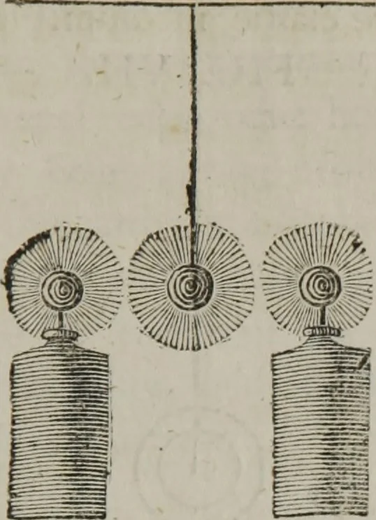 An illustration from A new physical system of astronomy : an attempt to explain the operations of the powers which impel the planets and comets to perform eliptical revolutions round the sun, and revolve on their own axis : in which, the physical system of Sir Isaac Newton, is examined, and presumed to be refuted ; to which is annexed, a physiological treatise ; in which the first stage of animation is considered, and the means shewn, by which circulation is performed in the first rudiments of the incipient animal, before the vessels are completely organized, &c. ; together with an explanation of the general laws, by which the animal economy is governed ; and particularly, the mode whereby the operations of the vis medicatrix naturae, or the unassisted powers of nature, are exerted to obviate and cure disease ; also, successful methods of curing cancerous ulcers, the quartan ague, putrid fevers, stopping mortifications, and extracting frost, so as to leave the frozen member perfectly well, 1800, leaf 22