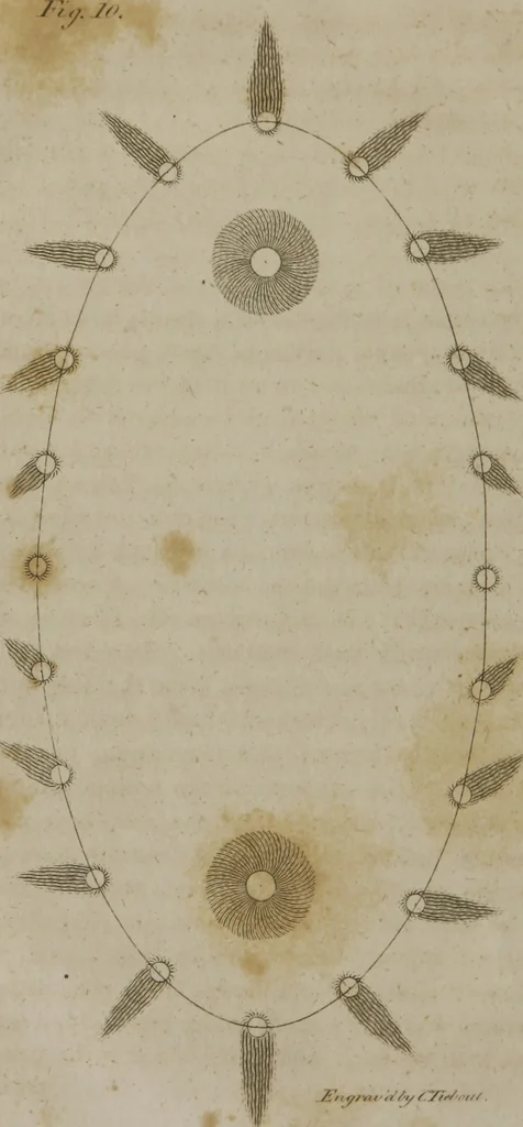 An illustration from A new physical system of astronomy : an attempt to explain the operations of the powers which impel the planets and comets to perform eliptical revolutions round the sun, and revolve on their own axis : in which, the physical system of Sir Isaac Newton, is examined, and presumed to be refuted ; to which is annexed, a physiological treatise ; in which the first stage of animation is considered, and the means shewn, by which circulation is performed in the first rudiments of the incipient animal, before the vessels are completely organized, &c. ; together with an explanation of the general laws, by which the animal economy is governed ; and particularly, the mode whereby the operations of the vis medicatrix naturae, or the unassisted powers of nature, are exerted to obviate and cure disease ; also, successful methods of curing cancerous ulcers, the quartan ague, putrid fevers, stopping mortifications, and extracting frost, so as to leave the frozen member perfectly well, 1800, leaf 55