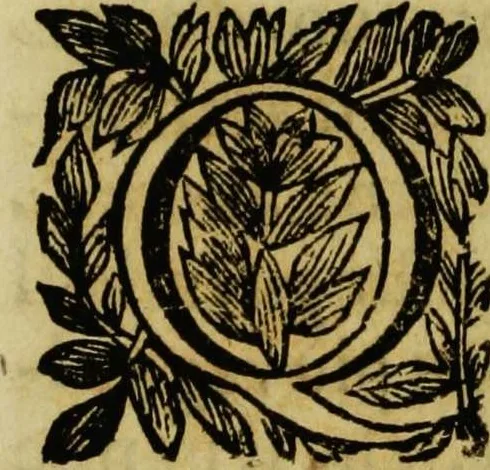 An illustration from Villa Borghese fuori di Porta Pinciana, 1650, leaf 19