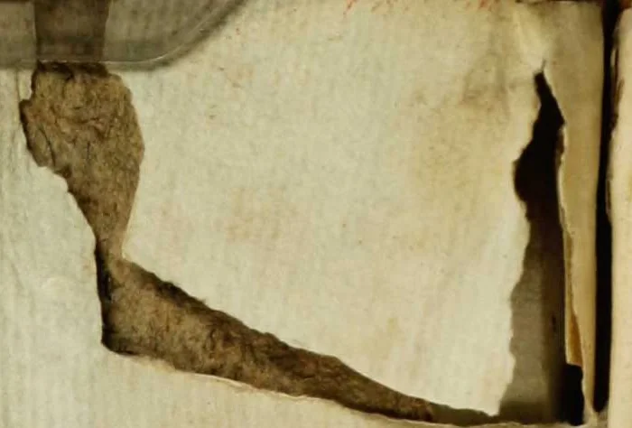 An illustration from Villa Borghese fuori di Porta Pinciana, 1650, leaf 2