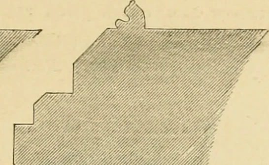 An illustration from An encyclopaedia of architecture, historical, theoretical, & practical. New ed., rev., portions rewritten, and with additions by Wyatt Papworth, 1888, leaf 1012
