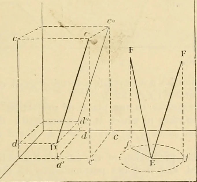 An illustration from An encyclopaedia of architecture, historical, theoretical, & practical. New ed., rev., portions rewritten, and with additions by Wyatt Papworth, 1888, leaf 340