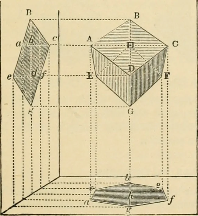 An illustration from An encyclopaedia of architecture, historical, theoretical, & practical. New ed., rev., portions rewritten, and with additions by Wyatt Papworth, 1888, leaf 342