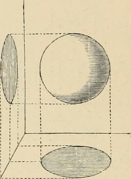 An illustration from An encyclopaedia of architecture, historical, theoretical, & practical. New ed., rev., portions rewritten, and with additions by Wyatt Papworth, 1888, leaf 343