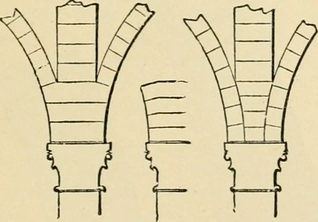 An illustration from An encyclopaedia of architecture, historical, theoretical, & practical. New ed., rev., portions rewritten, and with additions by Wyatt Papworth, 1888, leaf 606