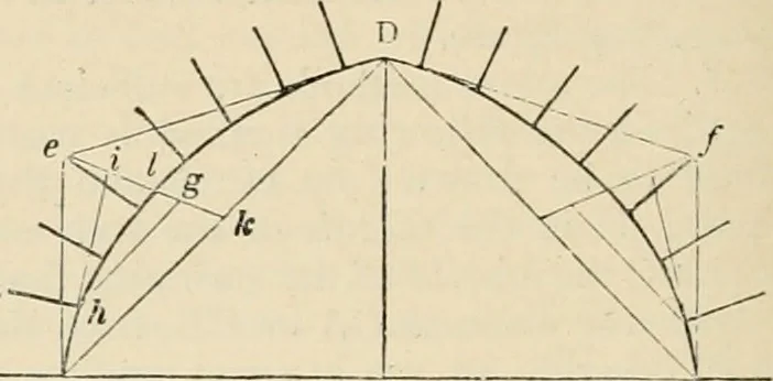 An illustration from An encyclopaedia of architecture, historical, theoretical, & practical. New ed., rev., portions rewritten, and with additions by Wyatt Papworth, 1888, leaf 611