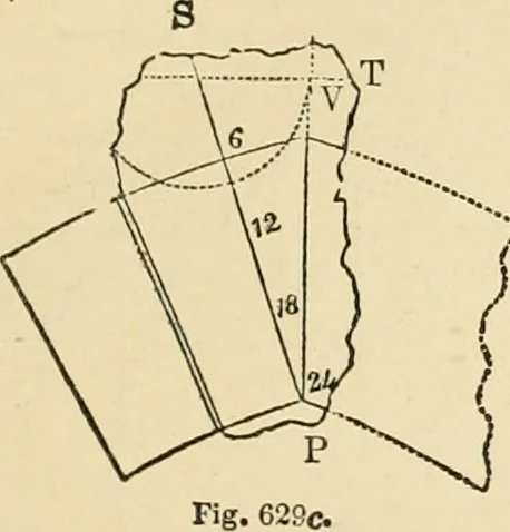 An illustration from An encyclopaedia of architecture, historical, theoretical, & practical. New ed., rev., portions rewritten, and with additions by Wyatt Papworth, 1888, leaf 612