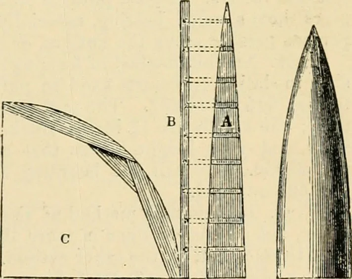 An illustration from An encyclopaedia of architecture, historical, theoretical, & practical. New ed., rev., portions rewritten, and with additions by Wyatt Papworth, 1888, leaf 696