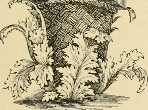 An illustration from An encyclopaedia of architecture, historical, theoretical, & practical. New ed., rev., portions rewritten, and with additions by Wyatt Papworth, 1888, leaf 82