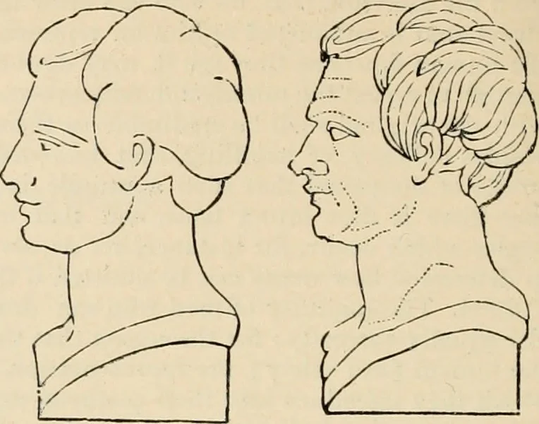 An illustration from An encyclopaedia of architecture, historical, theoretical, & practical. New ed., rev., portions rewritten, and with additions by Wyatt Papworth, 1888, leaf 827
