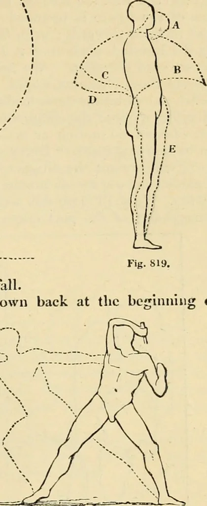 An illustration from An encyclopaedia of architecture, historical, theoretical, & practical. New ed., rev., portions rewritten, and with additions by Wyatt Papworth, 1888, leaf 830