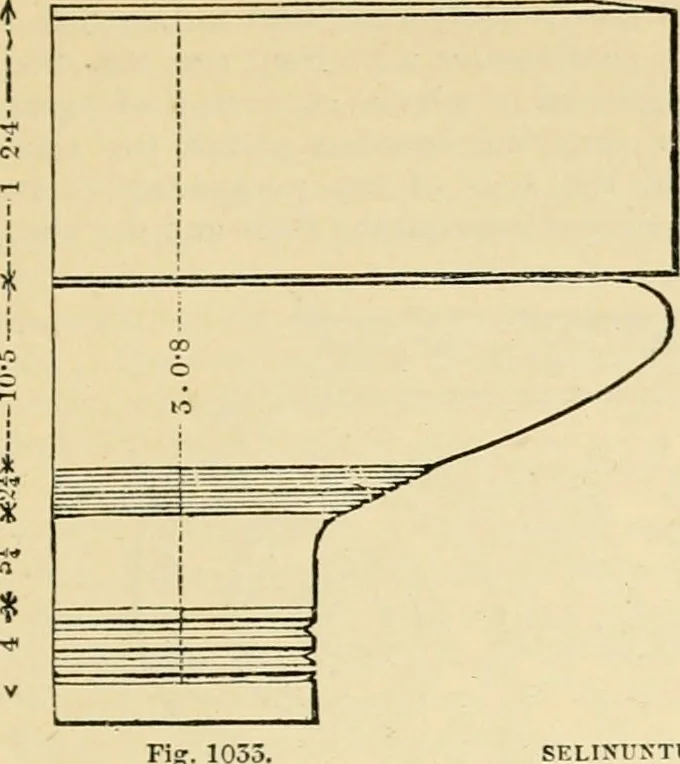An illustration from An encyclopaedia of architecture, historical, theoretical, & practical. New ed., rev., portions rewritten, and with additions by Wyatt Papworth, 1888, leaf 970
