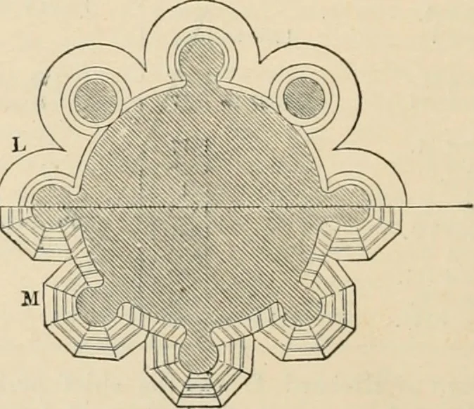 An illustration from An encyclopaedia of architecture, historical, theoretical, & practical. New ed., rev., portions rewritten, and with additions by Wyatt Papworth, 1888, leaf 989