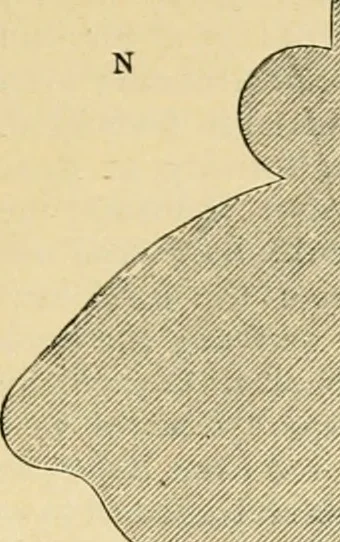 An illustration from An encyclopaedia of architecture, historical, theoretical, & practical. New ed., rev., portions rewritten, and with additions by Wyatt Papworth, 1888, leaf 990
