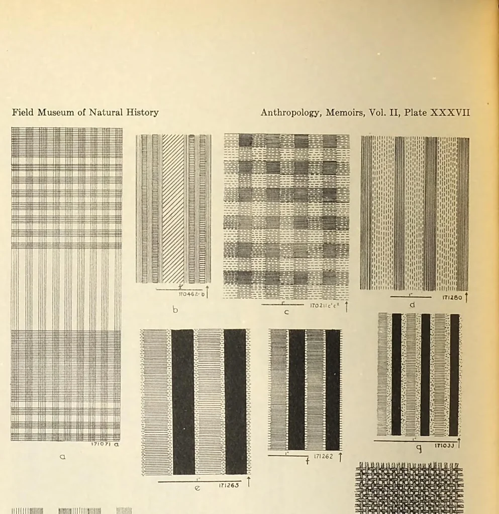 An illustration from Archaeological explorations in Peru, 1926, leaf 281