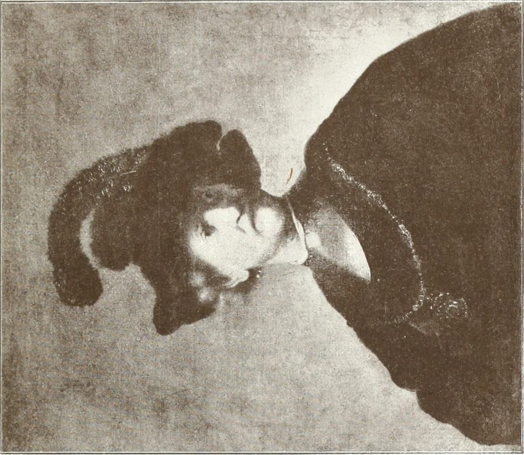 An illustration from Illustrated catalogue of 300 paintings by old masters of the Dutch, Flemish, Italian, French and English schools : being some of the part principal pictures which have at various times formed part of the Sedelmeyer Gallery, 1898, leaf 140