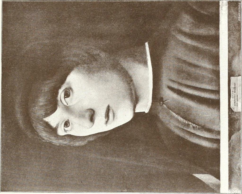 An illustration from Illustrated catalogue of 300 paintings by old masters of the Dutch, Flemish, Italian, French and English schools : being some of the part principal pictures which have at various times formed part of the Sedelmeyer Gallery, 1898, leaf 286