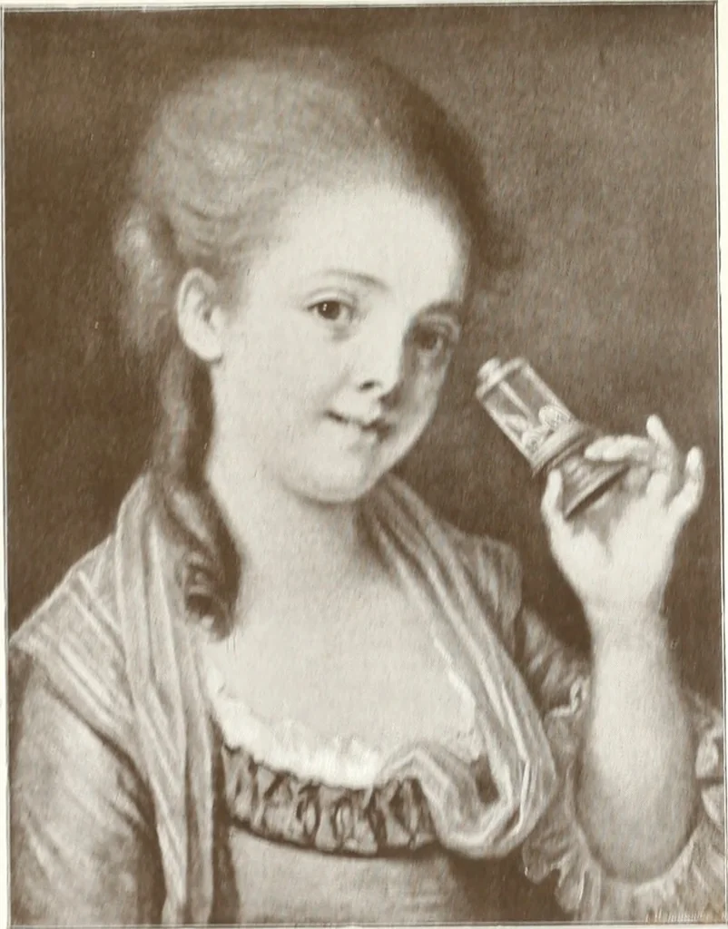 An illustration from Illustrated catalogue of 300 paintings by old masters of the Dutch, Flemish, Italian, French and English schools : being some of the part principal pictures which have at various times formed part of the Sedelmeyer Gallery, 1898, leaf 328