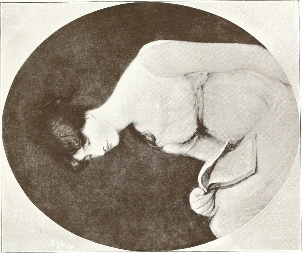 An illustration from Illustrated catalogue of 300 paintings by old masters of the Dutch, Flemish, Italian, French and English schools : being some of the part principal pictures which have at various times formed part of the Sedelmeyer Gallery, 1898, leaf 358