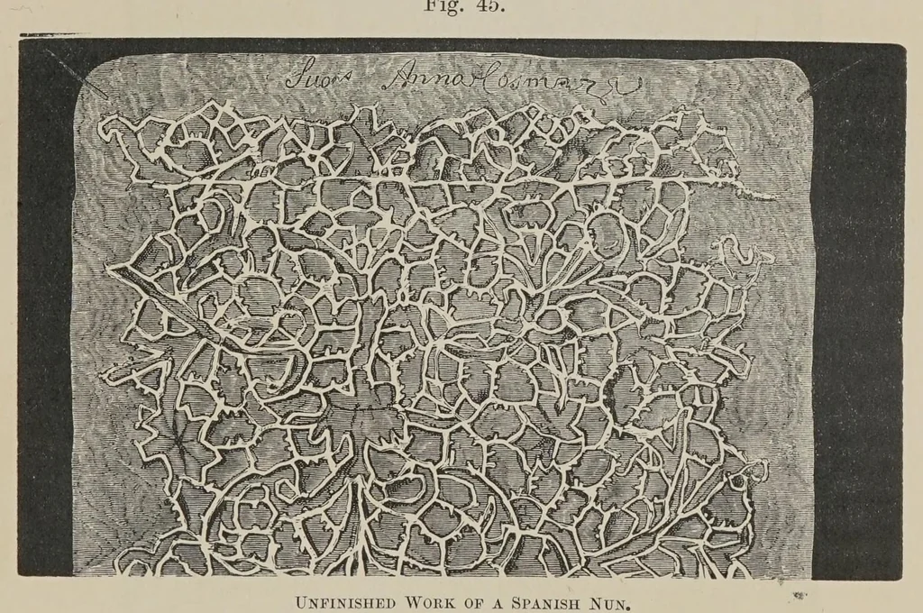 An illustration from History of lace, 1902, leaf 169
