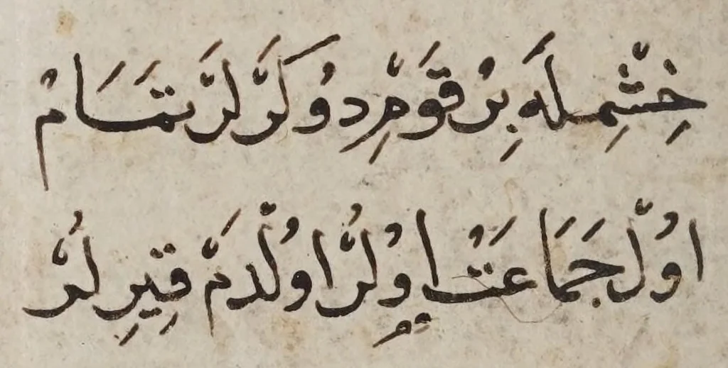 An illustration from Mevlūd., leaf 119