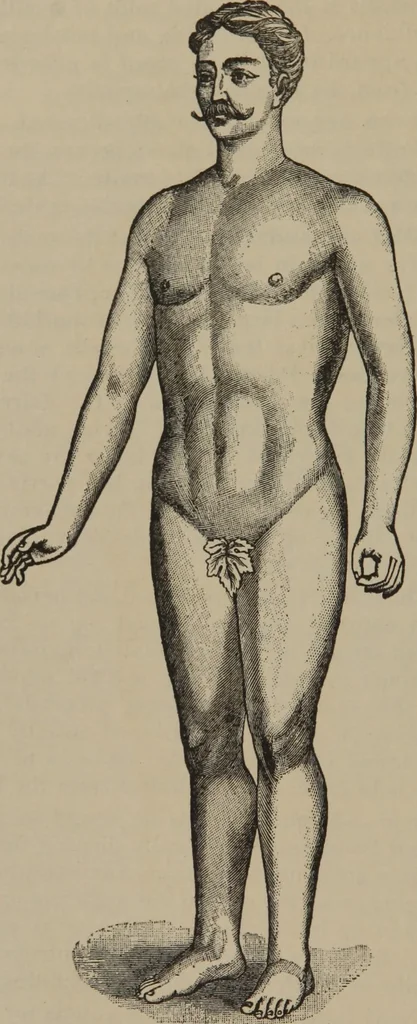 An illustration from The science of facial expression : the new system of diagnosis, based on original researches and discoveries, 1917, leaf 25