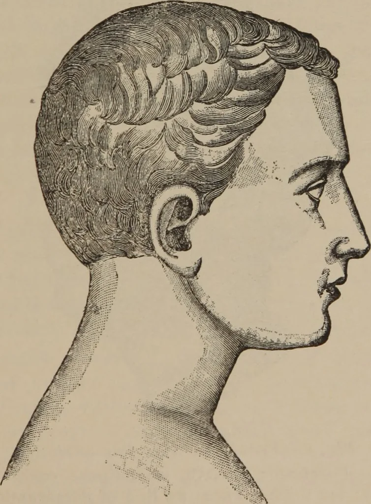 An illustration from The science of facial expression : the new system of diagnosis, based on original researches and discoveries, 1917, leaf 32