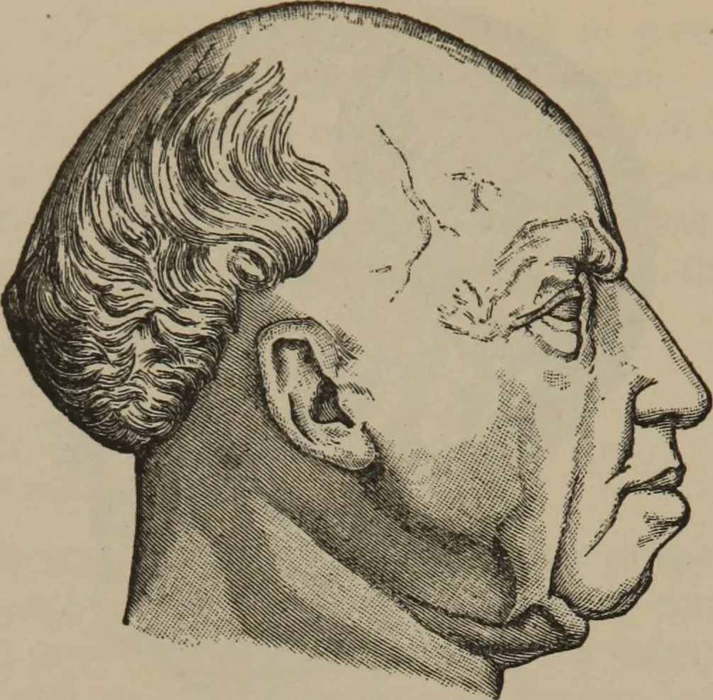 An illustration from The science of facial expression : the new system of diagnosis, based on original researches and discoveries, 1917, leaf 33