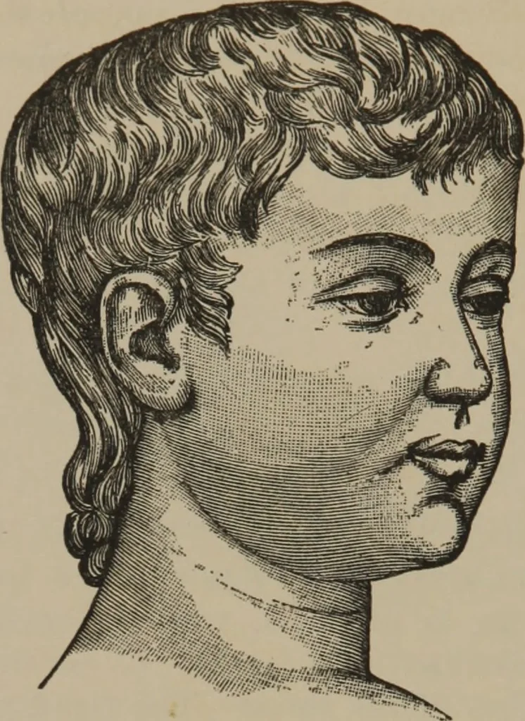 An illustration from The science of facial expression : the new system of diagnosis, based on original researches and discoveries, 1917, leaf 35