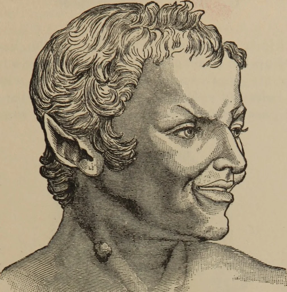 An illustration from The science of facial expression : the new system of diagnosis, based on original researches and discoveries, 1917, leaf 42