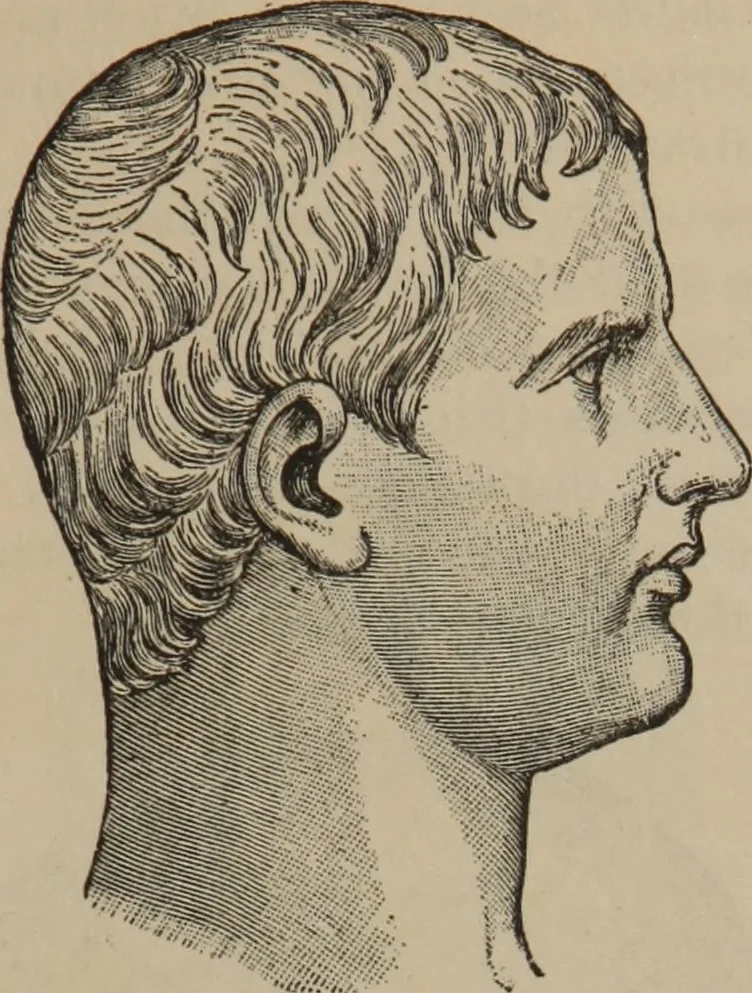 An illustration from The science of facial expression : the new system of diagnosis, based on original researches and discoveries, 1917, leaf 46