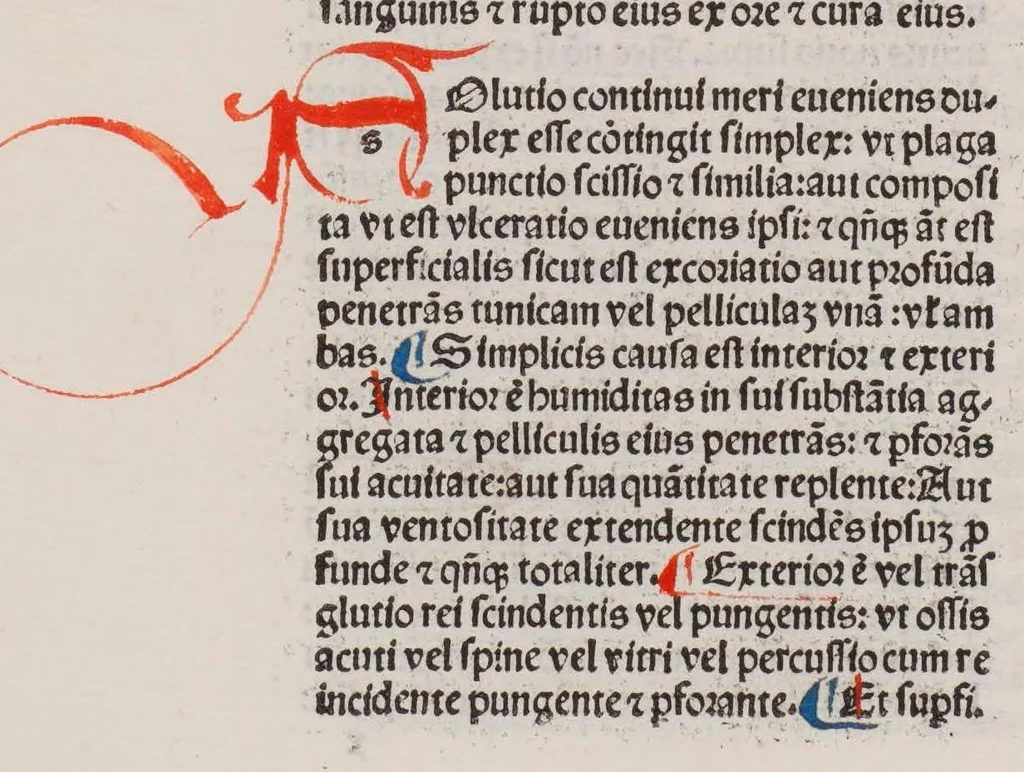 An illustration from Opera medicinalia : cum additionibus Francisci Pedemontani, leaf 271