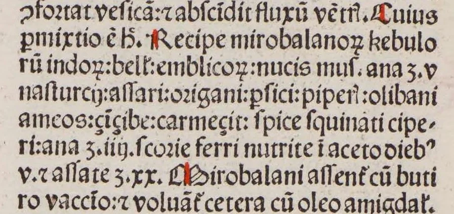 An illustration from Opera medicinalia : cum additionibus Francisci Pedemontani, leaf 77