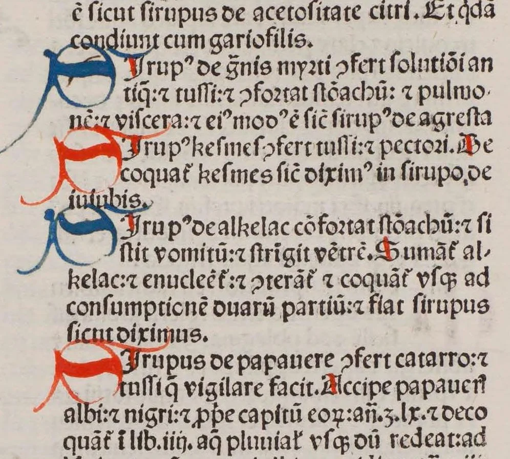 An illustration from Opera medicinalia : cum additionibus Francisci Pedemontani, leaf 88