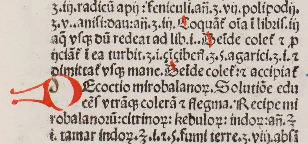 An illustration from Opera medicinalia : cum additionibus Francisci Pedemontani, leaf 96